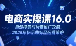 （15262期）淘宝电商运营课16.0，自然搜索与付费推广攻略，2025年标品非标品运营策略