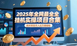 （15303期）2025年挂机实操项目实操演练，挂机类型，AI直播类型，轻资产创业类型&#8230;